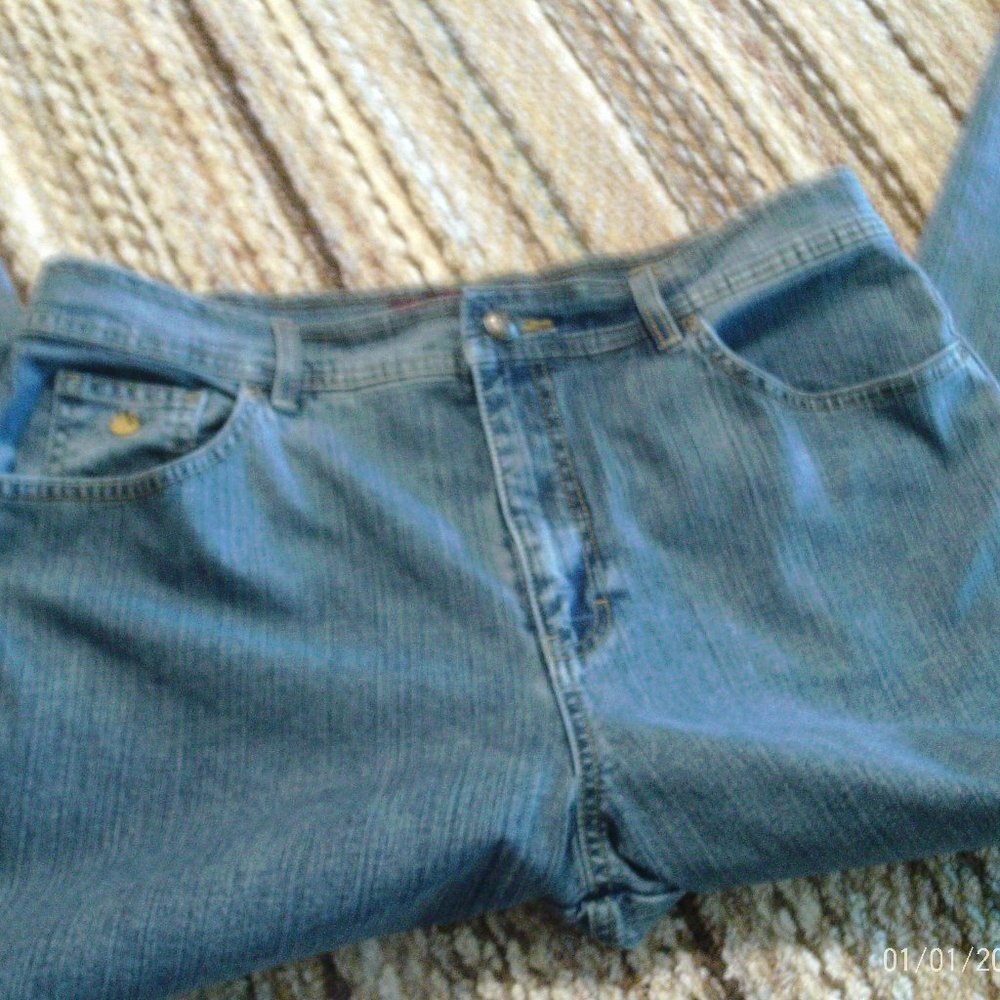 Gloria Vanderbilt Size 16